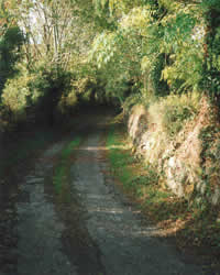 Yes, this is the actual county maintained road to the Coole. You want peace? You got it!