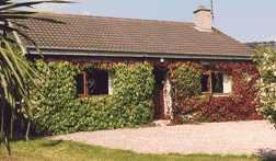 The Ivy Cottage in Fall Glory!